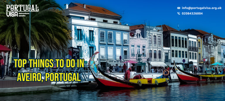 10 Best Things To Do In Aveiro, Portugal - Portugal Visa