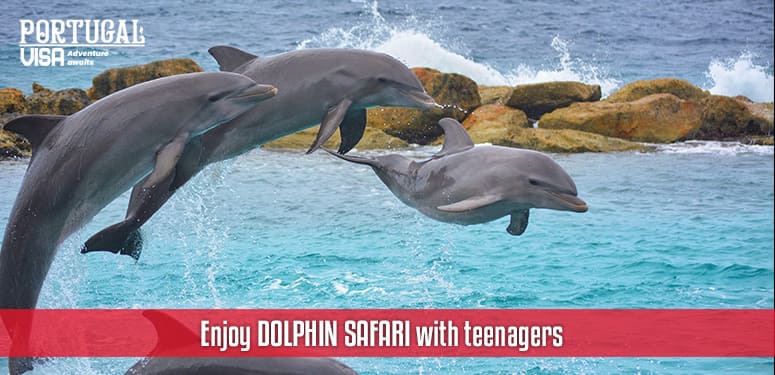  Enjoy DOLPHIN SAFARI with teenagers