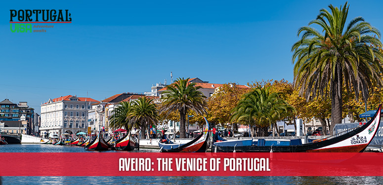 Aveiro The Venice of Portugal